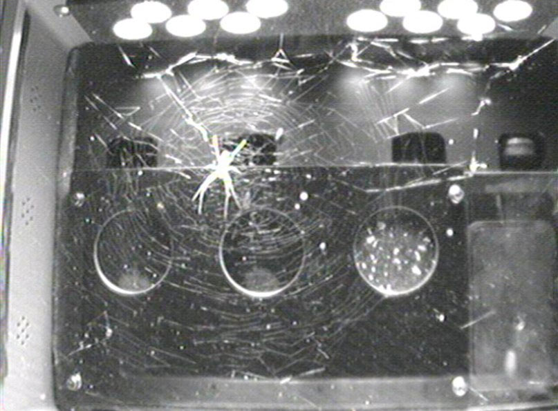NASA's Space Spiders Star in e-Book for 'The Amazing Spider-Man 2'